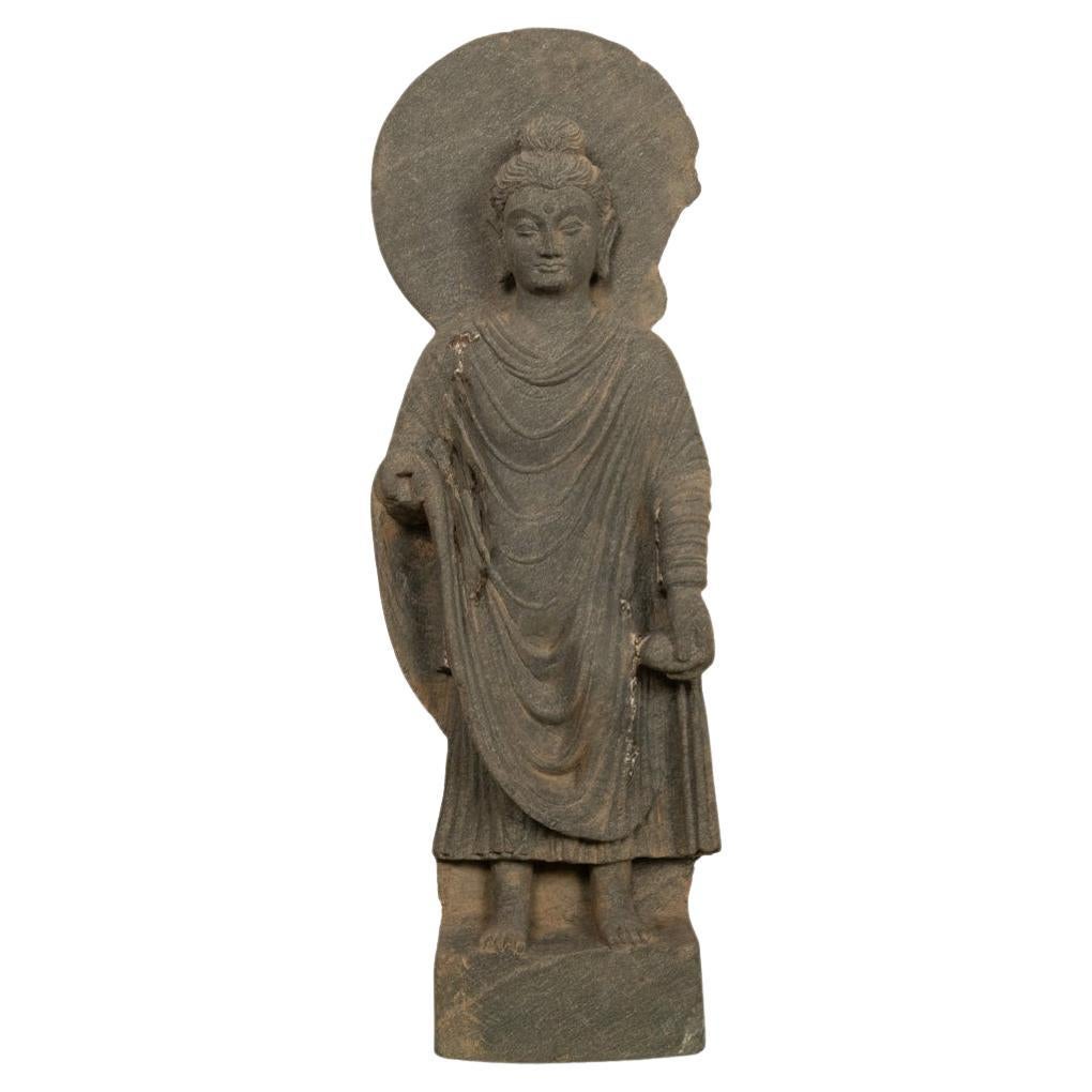 Antica statua indiana in pietra scolpita di Gandharan Shakyamuni Buddha del II secolo d.C.