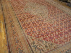 Tappeto annodato Bibikabad in corallo, oversize, con medaglione tradizionale, d’epoca, anni ’1900