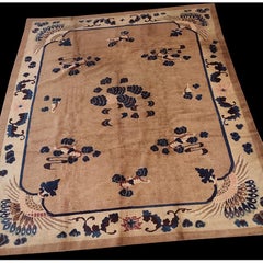 1900s Antique Camel Field Peacock Pattern Chinese Peking Knotted Rug 8' x 9' 10"