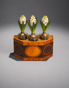 A Rare George III 18th Century Harewood and Burr Yew Wood Triple Bulb Jardinière