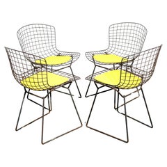 Set of 4 Vintage Harry Bertoia Chairs with Yellow Seat Cushions for Knoll