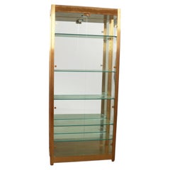 Vintage Mid-Century Hollywood Regency Brass Glass Lighted Curio Cabinet Vitrine