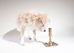 17th Century Spanish Baroque Brass Candlestick with Square Base
