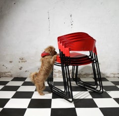 Set of 9 Red Stackable Chairs by Paolo Favaretto for Airborne, 1980s