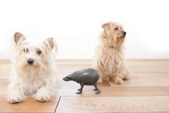 Bert Kiewiet Bronze Animal Sculpture "Tits Beast", Netherlands, circa 1980