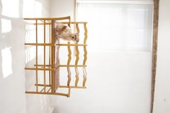 Mid-Century French Beech Three-Seater Ladder-Back Bench with Rush Seat, 1960s