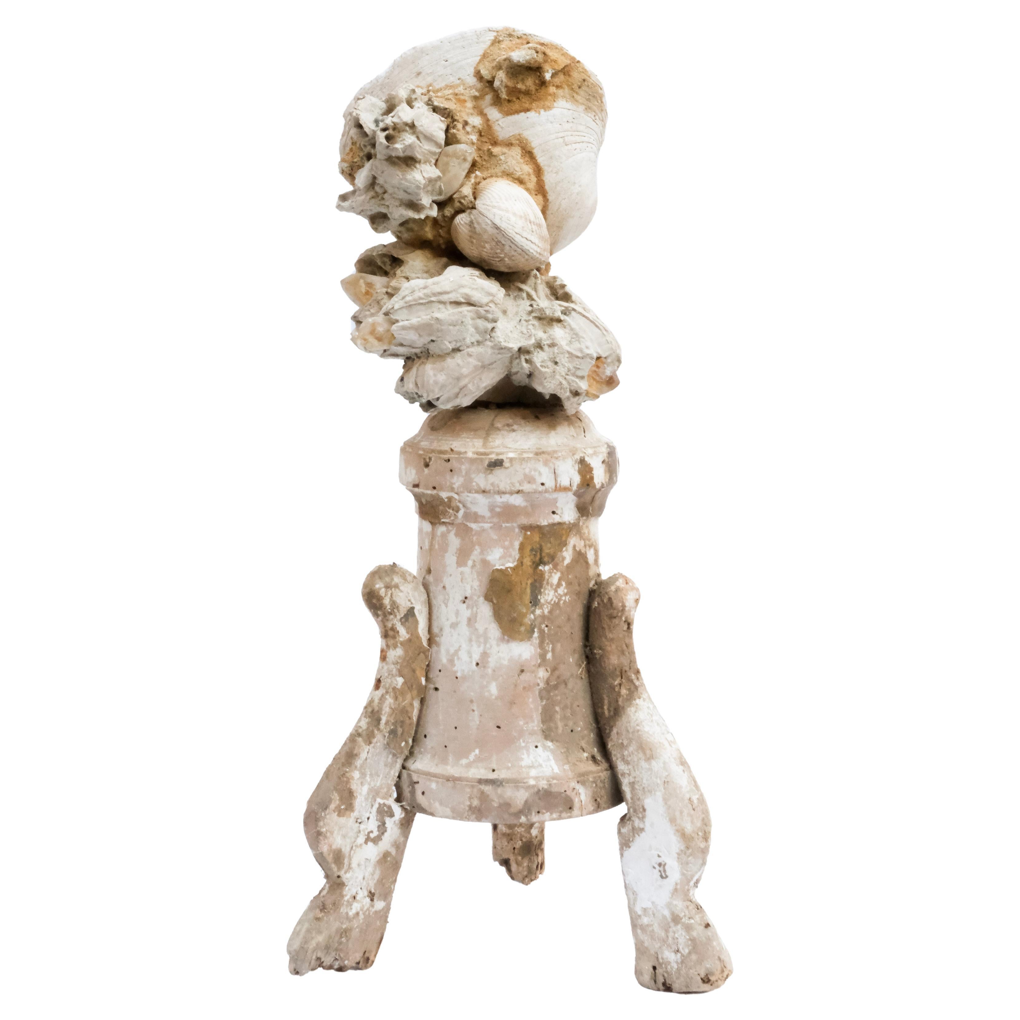 18th Century Rococo Italian 'Florence Fragment' with Fossil Shells and Barnacles