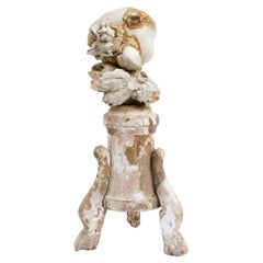 18th Century Rococo Italian 'Florence Fragment' with Fossil Shells and Barnacles