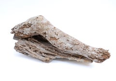Pied sculptural et stalactite italiens du XVIIe siècle, « Fragment de Florence », par Interi
