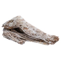 Gamba scultorea italiana del XVII secolo, detta “Frammento di Firenze”, con stalagmite