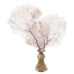 Sculptural Sea Fan on a 17th Century Italian Base with Pink Mica and Amethyst