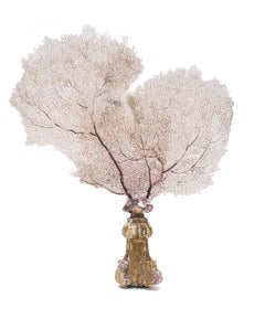 Sculptural Sea Fan on a 17th Century Italian Base with Pink Mica and Amethyst