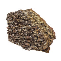 Organic Druzy Petrified Wood Sculpture with Baroque Pearls by Interi
