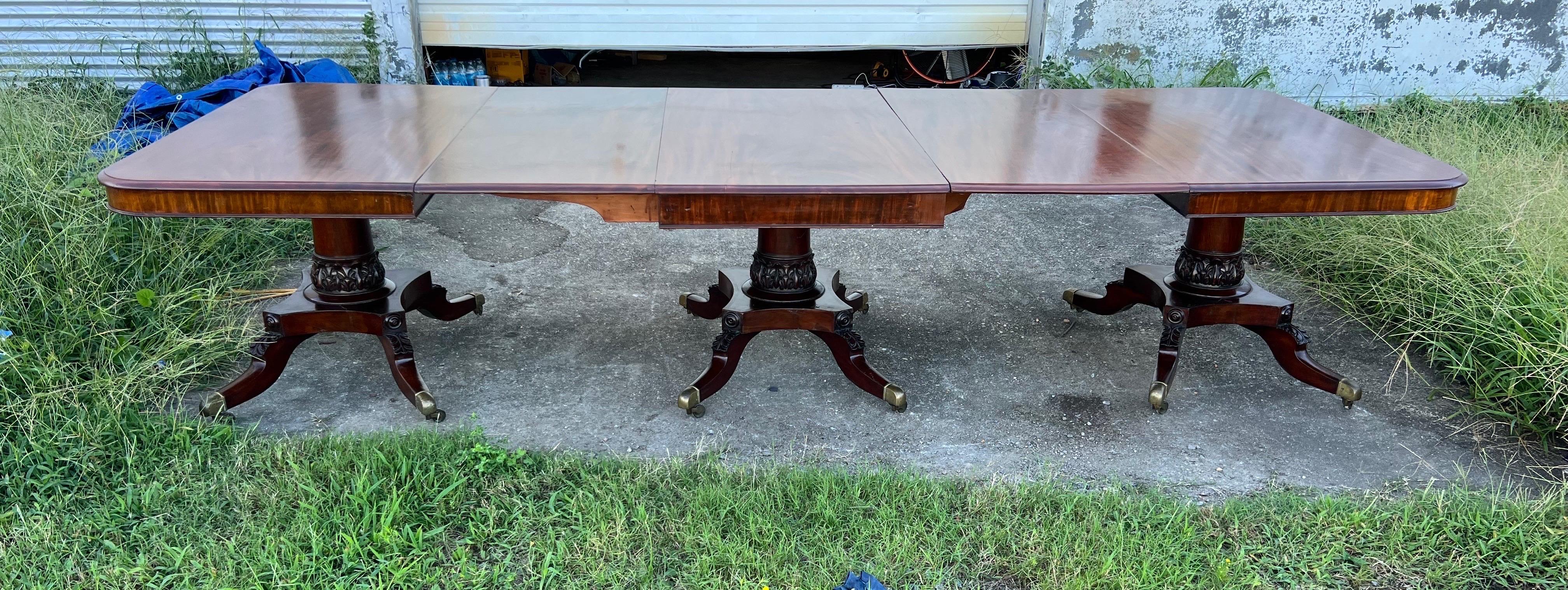 Fine 19th century English Regency mahogany triple pedestal dining table with 2 leaves. Three carved pedestals with 4 legs to each base terminating in original brass caps and castors.