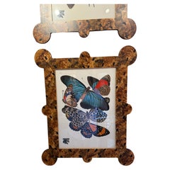 "Papillions" by Eugene Allain Seguy in faux tortoiseshell frames- 16 available