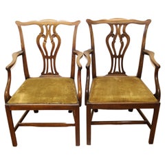 Chippendale Style Dining Chairs w/ Original Velvet Seats ( Set of 8 )