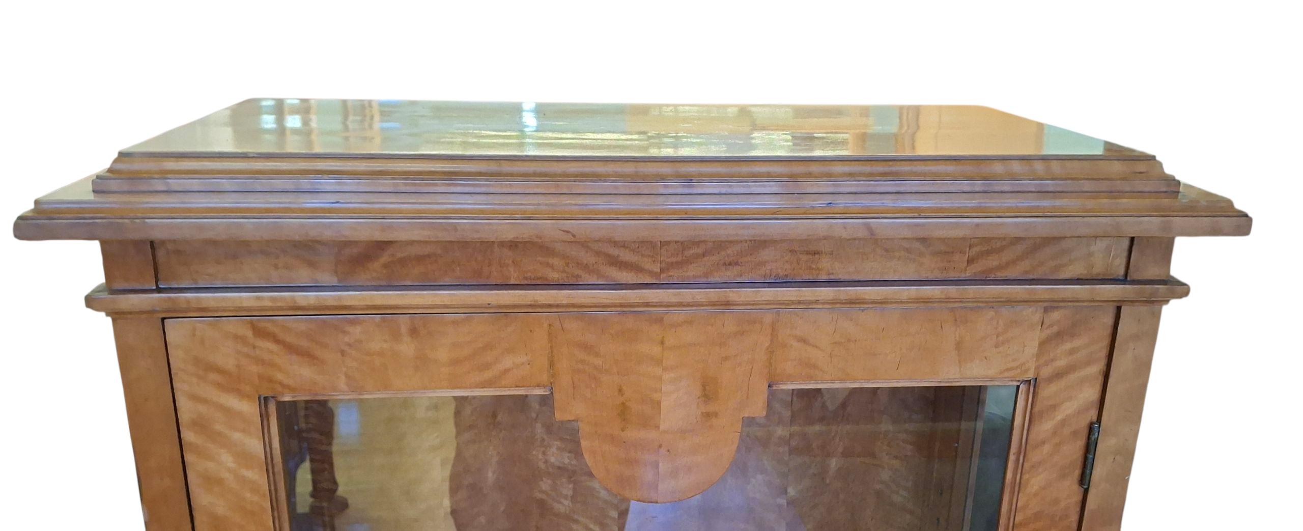 Tedesco Vetrina/armadio in acero tigrato del XIX secolo in vendita