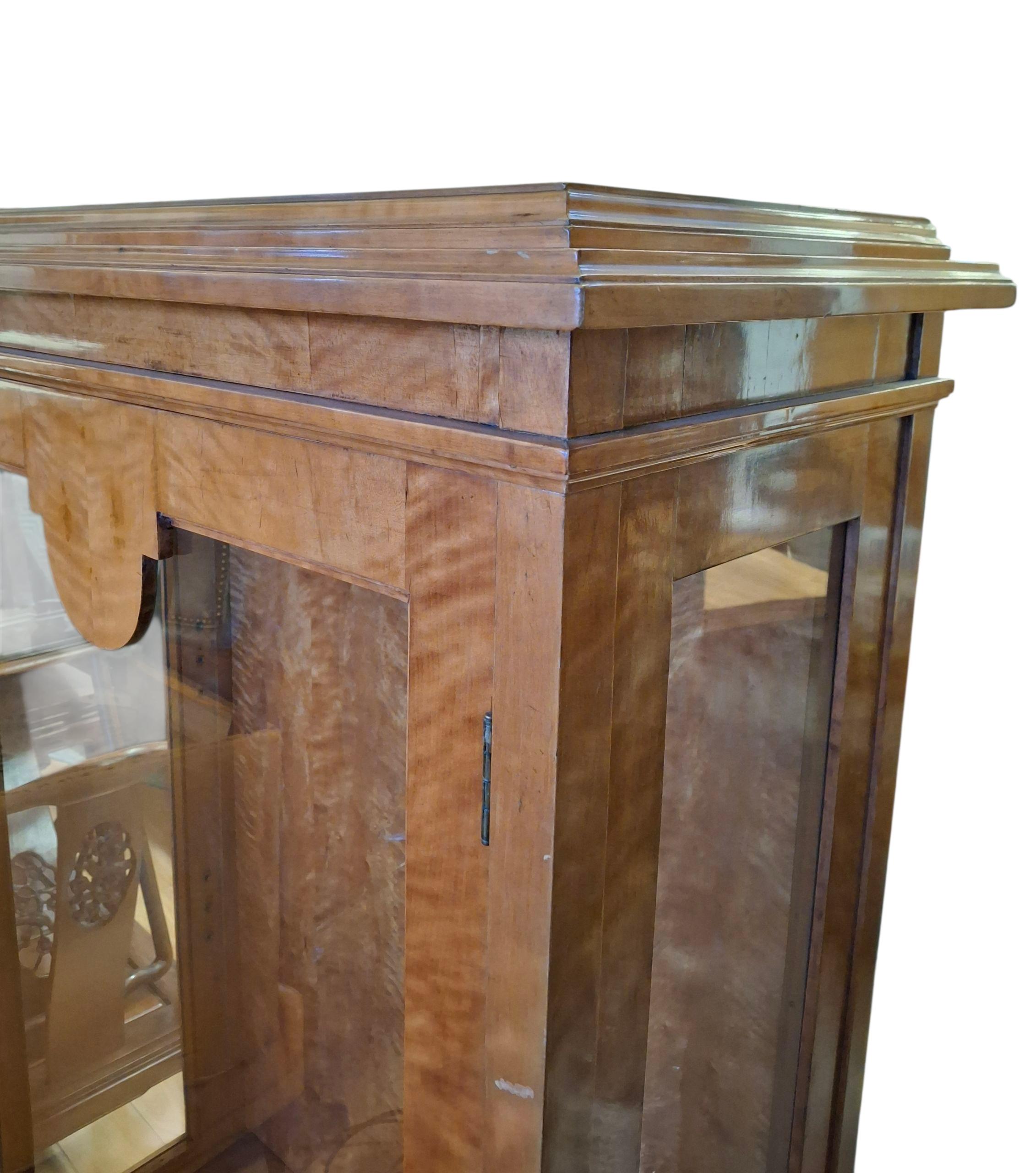 Biedermeier Vetrina/armadio in acero tigrato del XIX secolo in vendita
