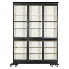 Large 19thC English Ebonised Pine Glazed Display Cabinet