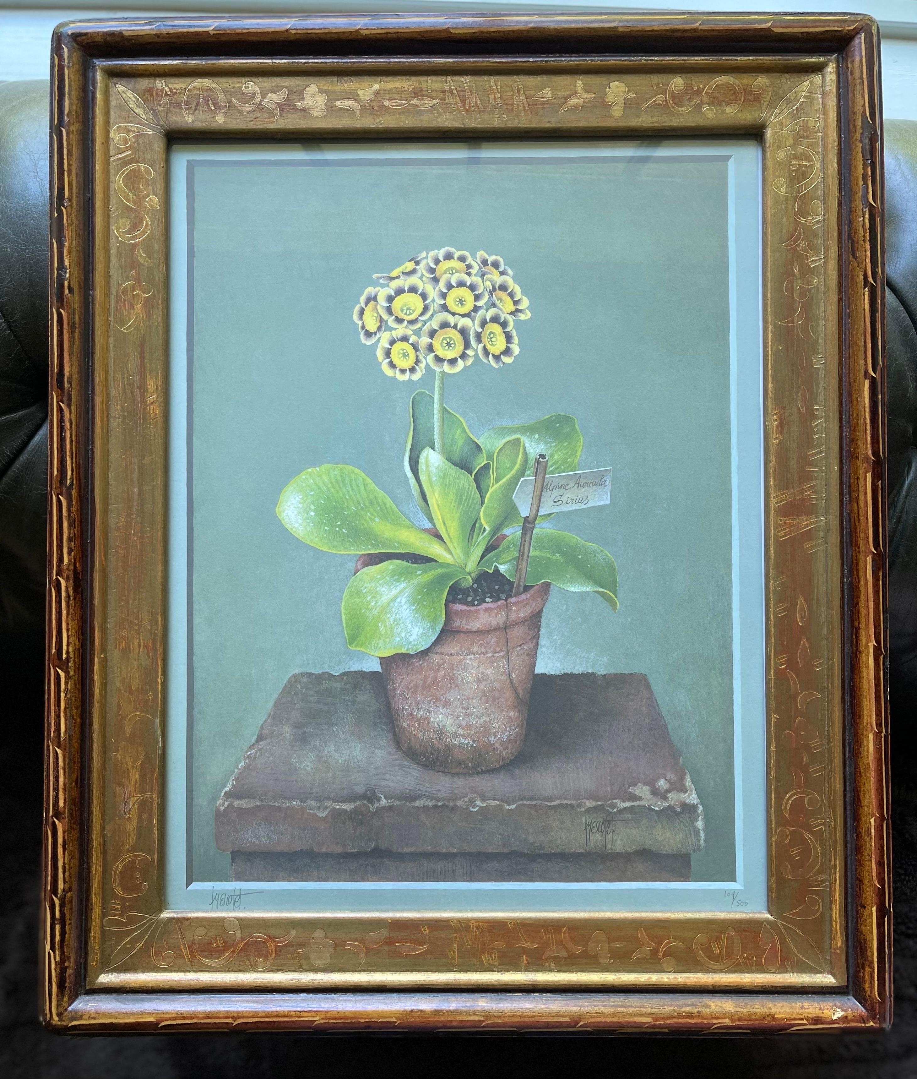 Jose Escofet, Still Prints Life of Potted Plants 3