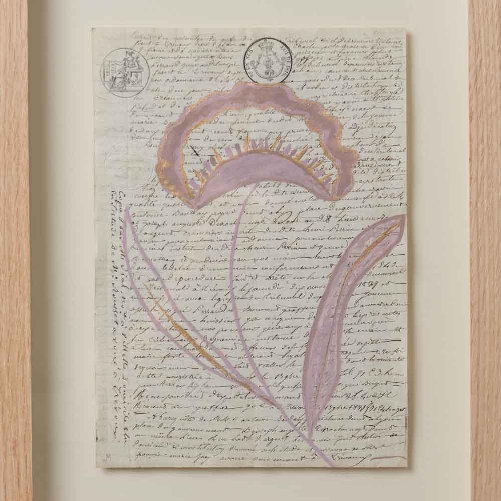 American Delphine by Afsoon Thayer For Sale