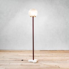 20th Century Ignazio Gardella Floor Lamp Mod. Lte8 for Azucena, 50s