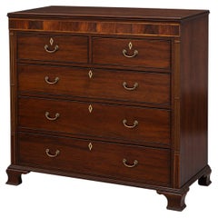 XIX sec. Cassapanca scozzese inglese William IV in mogano e legno satinato