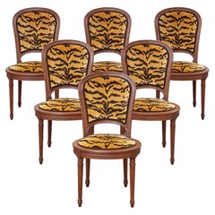 Set Of 6 French Louis XVI Style Fruitwood Dining Chairs Scalamndre Tiger Velvet