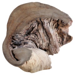 Japanese Natural Wood Display Stand