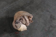 Japanese Natural Wood Display Stand