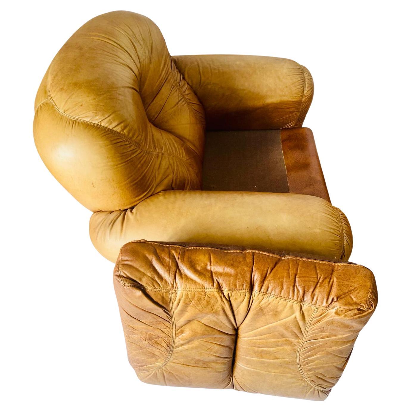 Italian Brown leather lounge chairs, 