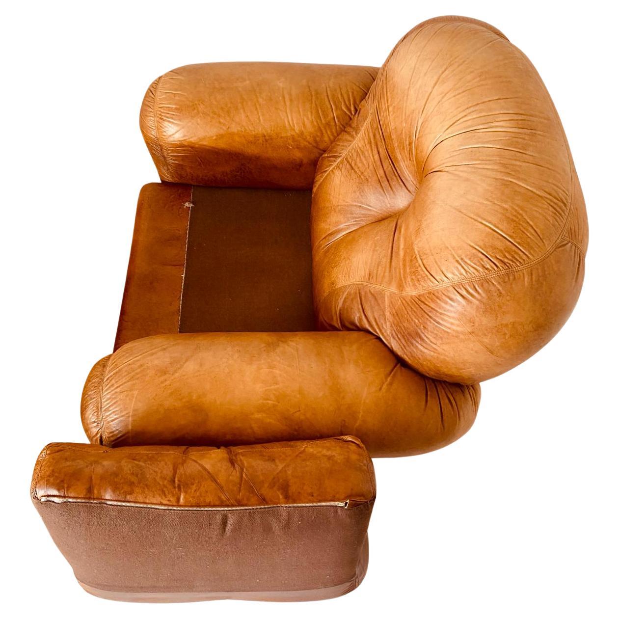 Mid-Century Modern Brown leather lounge chairs, 