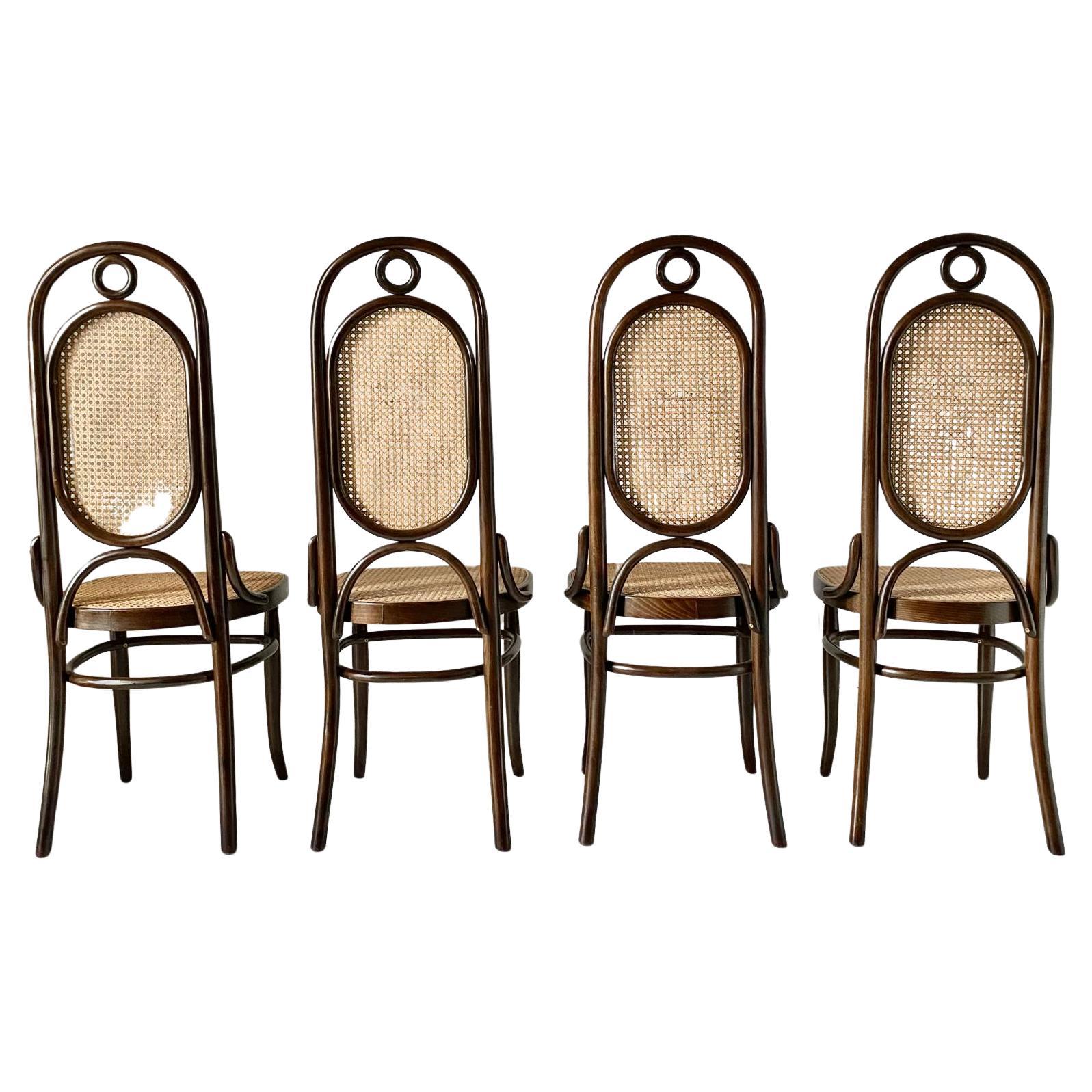 Set da soggiorno en legno di faggio curvato, Thonet, modèle 207 Bon état - En vente à Ceglie Messapica, IT