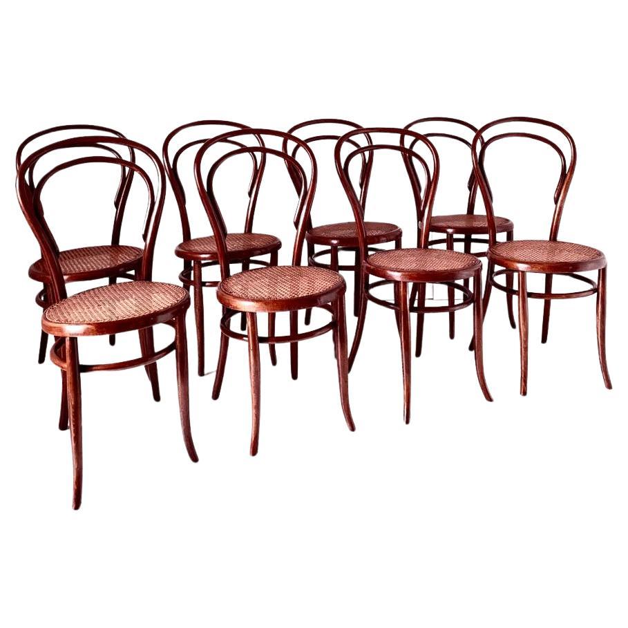 Belle Époque Chaises de salle à manger en bois cintré et rotin, ensemble de huit, Joseph Hofmann, Autriche, années 1900 en vente