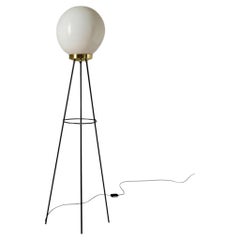 Vintage Stilnovo Floor Lamp, Opaline Glass & Iron, Italy 1950s