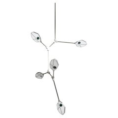 Contemporáneo Joni Config. Lámpara de 1 LED con Cristal y Concha de Páua