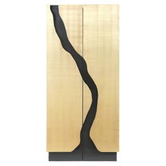 Modern Black Gold Drinks Cabinet in Brass Finish for Bottle Storage Wine Cooler