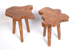 Pair Mid Century Freeform Suar Root-Slice Live Edge Occasional Side Tables