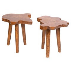 Pair Mid Century Freeform Suar Root-Slice Live Edge Occasional Side Tables