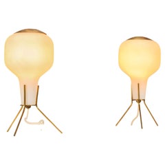 Pair of Opaline Glass and Brass Tripod Table Lamps, in the Style of Angelo Lelii