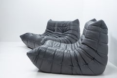 Michel Ducaroy Togo Set for Ligne Roset, Grey Leather, 1990s