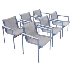 Juego de seis sillones de comedor Richard Schultz 1966 Outdoor Collection