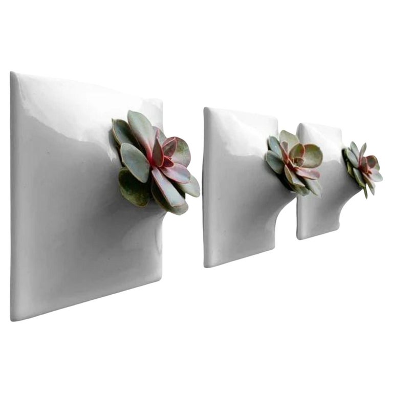 Modern Gray Wall Planter Set, Plant Wall Art, Living Wall Decor, Node 6