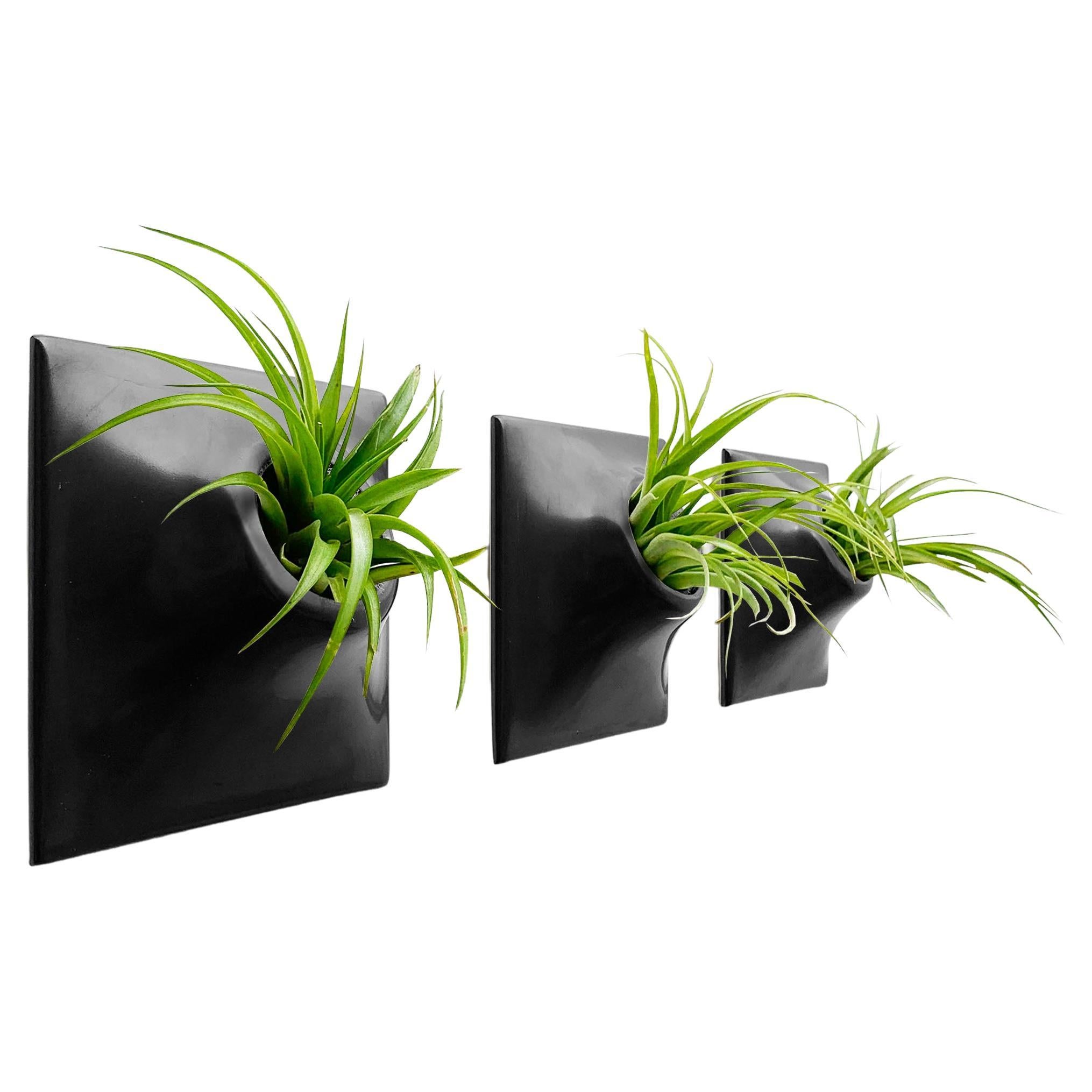 Modern Black Wall Planter Set, Plant Wall Art, Living Wall Decor, Node 6" Small For Sale