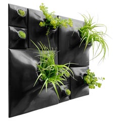 Modern Black Wall Planter Set, Greenwall Sculpture, Living Wall Decor, Node BS2