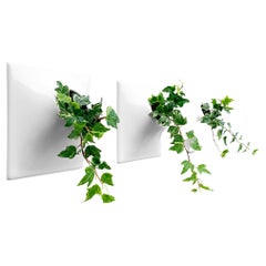 Modern Wall Planter - Plant Wall Art - Living Wall Decor - Node 6" Set White