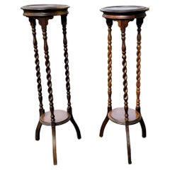 1930s Edwardian Barley Twist Mahogany Pedestals Plant Stands, Pairs