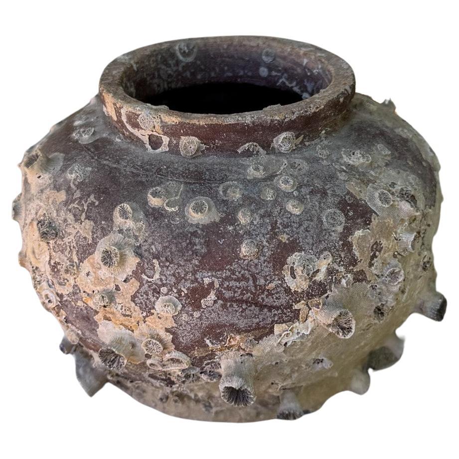 18th Century Ceramic " Shipwreck " Vase with Barnacles