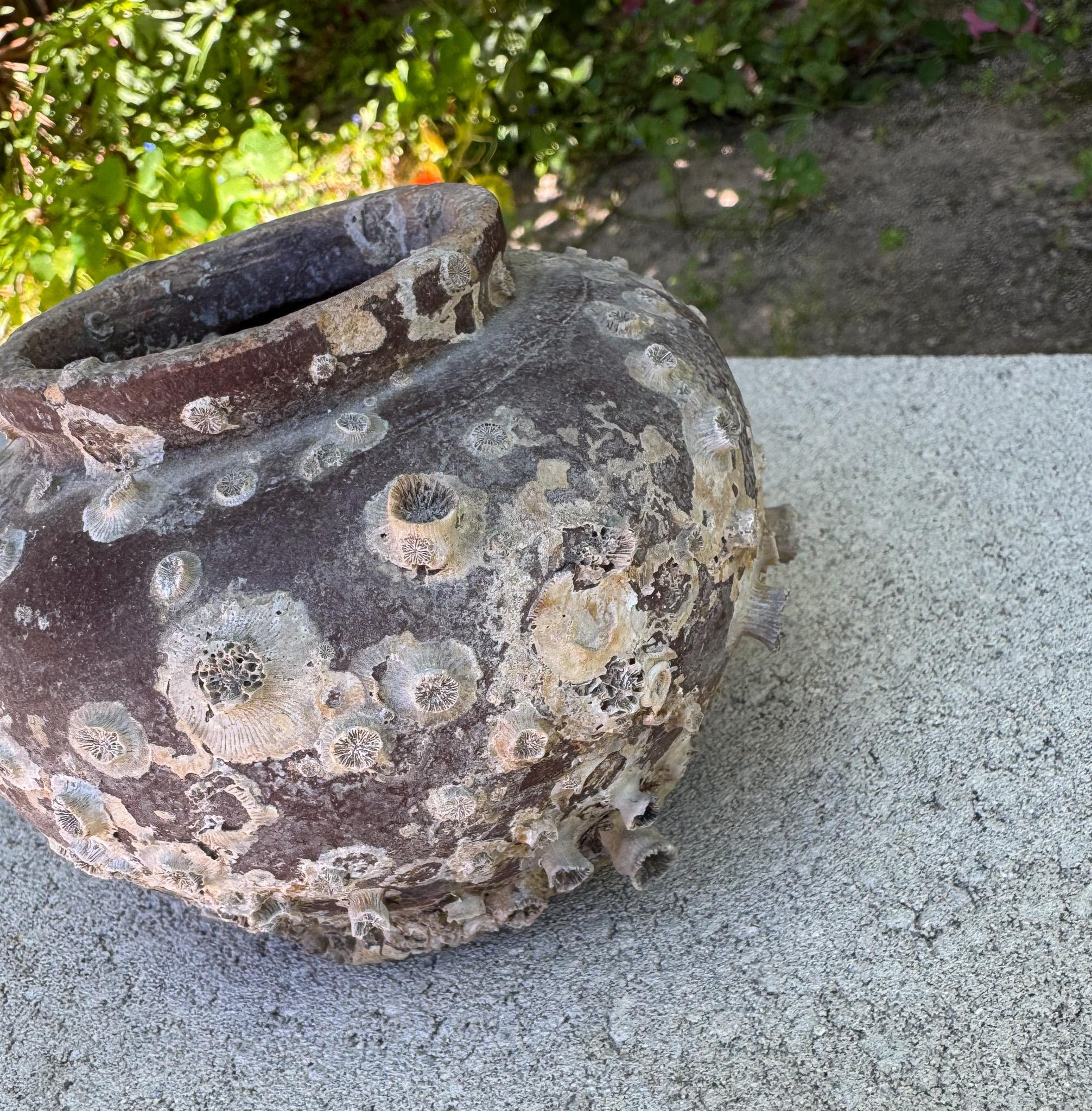 Unknown 18th Century Ceramic 