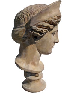 LARGE HEAD 20th Century BARBERINI JUNO PATINATED ANCIENT PLASTER